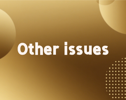 Other_issue