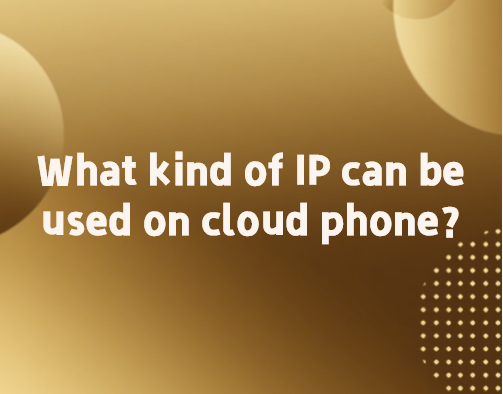 ipkind